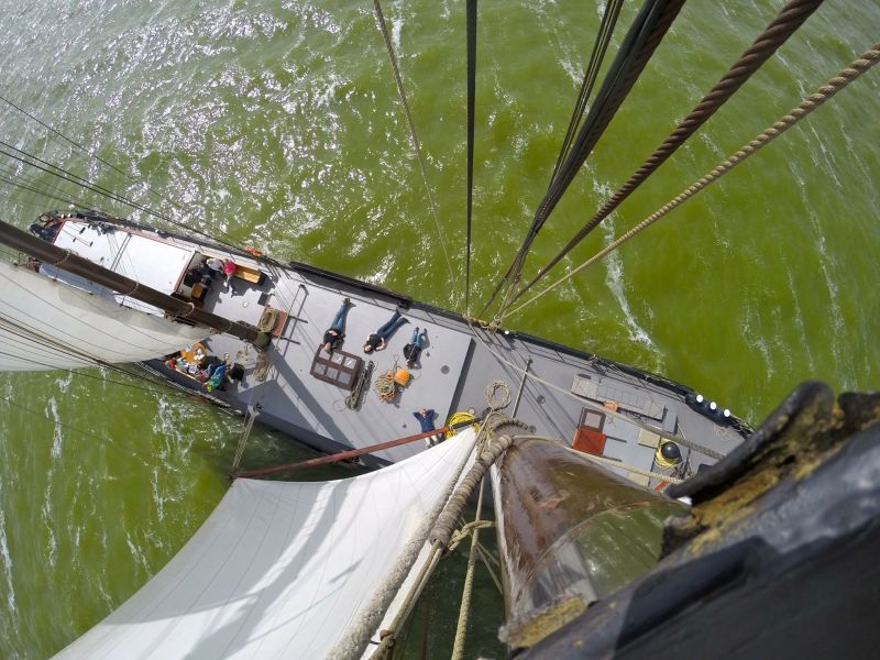 Segeln in der schönen Natur der Niederlande auf Wattenmeer und IJsselmeer