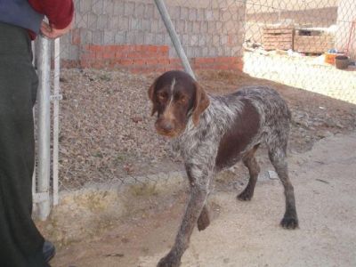 Piluco – Können diese Augen lügen?!