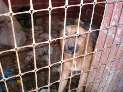 Notfall - Lobón ... wird jetzt alles gut werden???