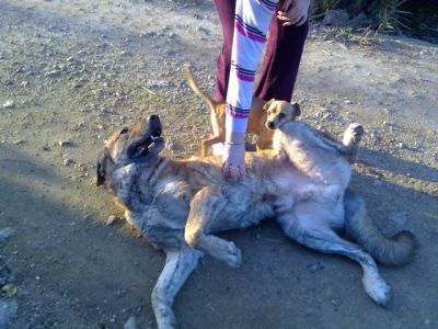 Martin – Mit Ruhe & Gemütlichkeit … erobert man ein Coucheckchen!