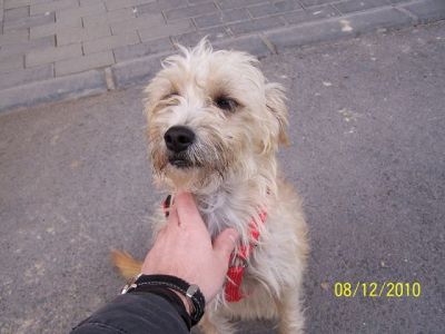 Kika – Hübsche, anschmiegsame Lady auf Schmusekurs!