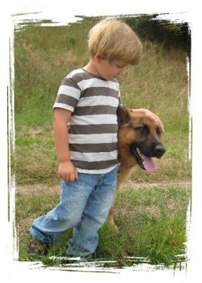 Rund um den Hund Hundeschule-Salostowitz