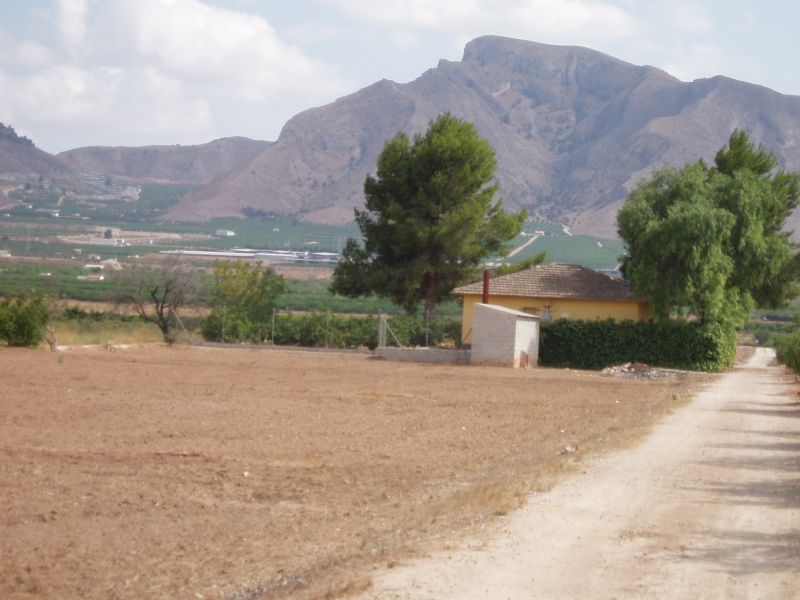 Bauernhäuser und Chalet- (SPANIEN) Orihuela