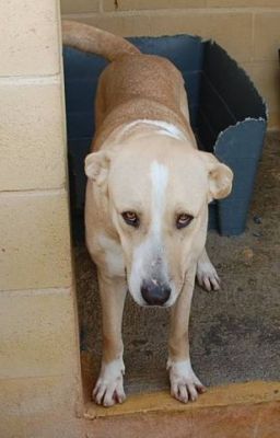 Africa – Schönheit, Anhänglichkeit, Familiensinn … was will Familie mehr?