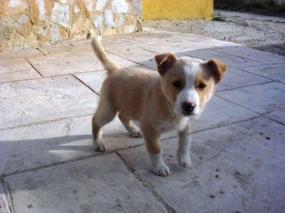 Kenneth – Achtung, Achtung, unheilbare Verliebungsgefahr!