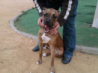 Conchita – Fräulein „Hier komm ich“ im Familienfieber!