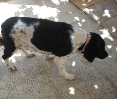 Tula – Ruhige, unglaublich anschmiegsame Schönheit auf Familieneroberung!