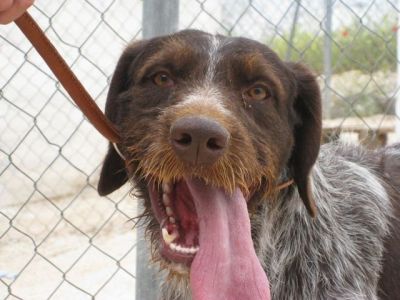 Piluco – Können diese Augen lügen?!