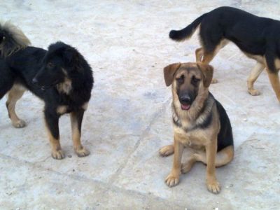 Nuca – Fröhliches Sunnygirl auf der Pirsch nach unternehmungslustiger Familie!