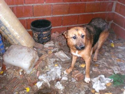 Notfall - Lobón ... wird jetzt alles gut werden???