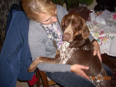 Tom – Senor „Familienhund“ bittet artig um liebevolle Kuschelcouch!