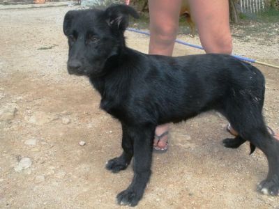 Merryweather – Reizende „Black Lady“ für die fröhliche Familiencouch!