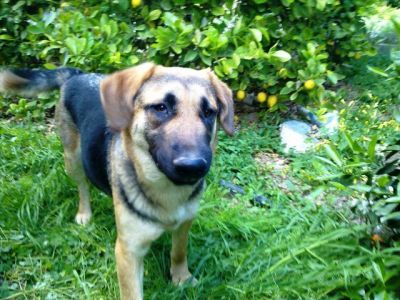 Nuca – Fröhliches Sunnygirl auf der Pirsch nach unternehmungslustiger Familie!