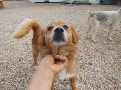 Tenko – Von Oma bis Säugling, hier kommt einfach Freude auf!