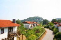Mit Hunden und Katzen in den Bayerischen Wald-Ferienwohnung-Bayern