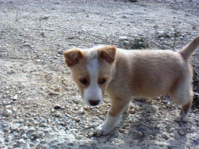 Kenneth – Achtung, Achtung, unheilbare Verliebungsgefahr!