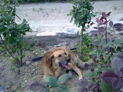 Martin – Mit Ruhe & Gemütlichkeit … erobert man ein Coucheckchen!