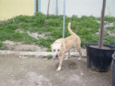 Africa – Schönheit, Anhänglichkeit, Familiensinn … was will Familie mehr?