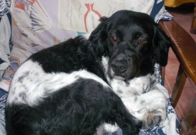 Tula – Ruhige, unglaublich anschmiegsame Schönheit auf Familieneroberung!