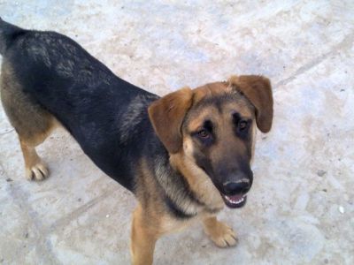 Nuca – Fröhliches Sunnygirl auf der Pirsch nach unternehmungslustiger Familie!