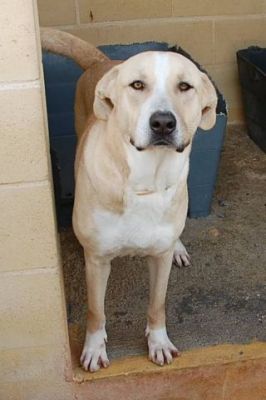 Africa – Schönheit, Anhänglichkeit, Familiensinn … was will Familie mehr?