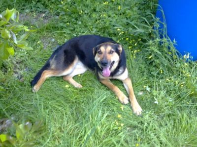 Donna – Eine „Donna“, wie man sie sich nicht besser wünschen kann!