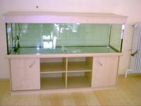 Aquarien nach Kundenwunsch