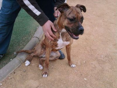 Conchita – Fräulein „Hier komm ich“ im Familienfieber!