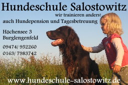 Die etwas andere Hundeschule