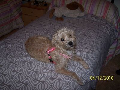 Kika – Hübsche, anschmiegsame Lady auf Schmusekurs!