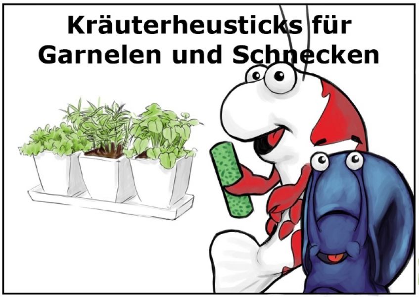 Brennessel Sticks 100g für Garnelen und Krebse im Nanoaquarium