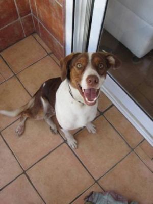 Bécquer – Charmanter Monsieur nimmt Anlauf auf Familiencouch!