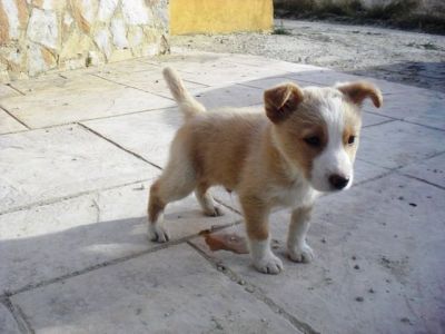 Kenneth – Achtung, Achtung, unheilbare Verliebungsgefahr!