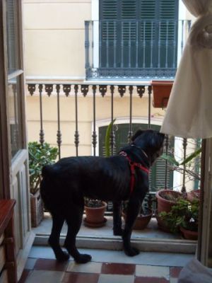 Noche – Große Senora mit riesigem Herz für Kinder, Hunde, Katzen !