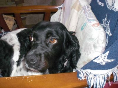 Tula – Ruhige, unglaublich anschmiegsame Schönheit auf Familieneroberung!