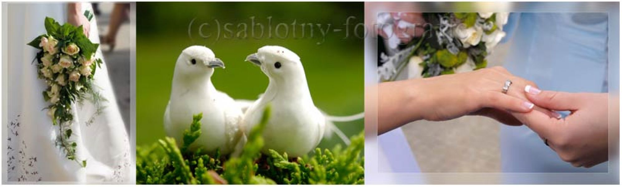 Hochzeitsfotografin Berlin und Brandenburg