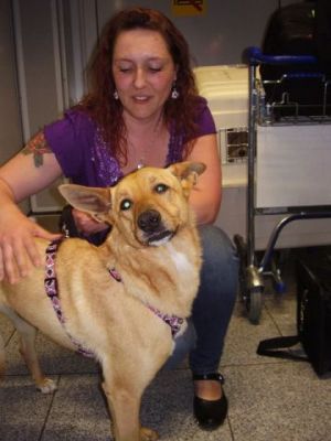 Barbara – Bestens vorbereiteter, wunderschöner Familienhund im Anmarsch!