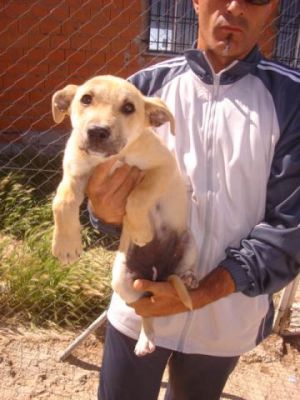 Avellana – Blondes, entzückendes Kuschelmonsterbaby auf Familienkurs!