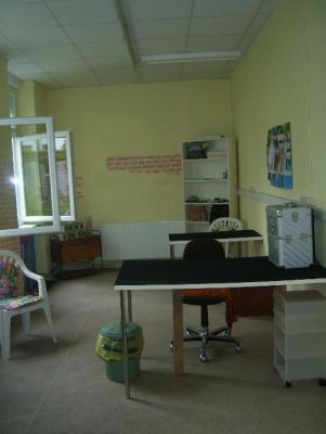 Hunde & Katzensalon Wende