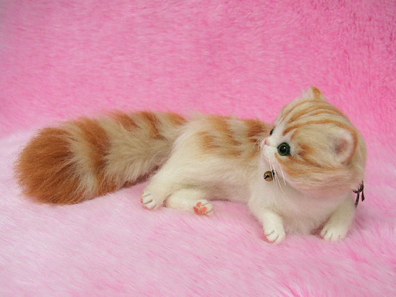  Sibirisches Kätzchen