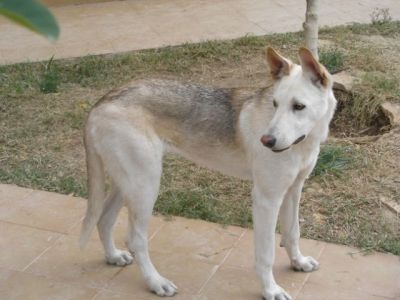 Lina – Bildschönes Beuteschema jeder fröhlichen Familie!