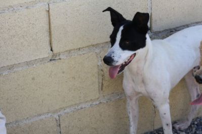 Sparrow – Hier kommt fröhlicher, bildschöner Sonnenschein ins Haus!