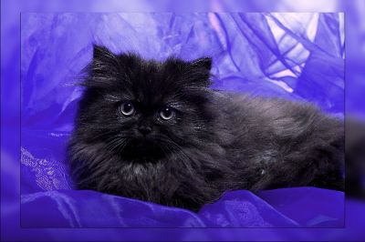 Wir suchen noch ein neues Zuhause!!!