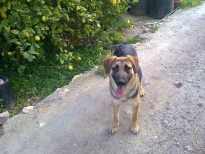 Nuca – Fröhliches Sunnygirl auf der Pirsch nach unternehmungslustiger Familie!