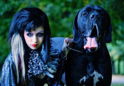 Wir erwarten Mitte - April 2012 Deutsche Doggen Welpen !
