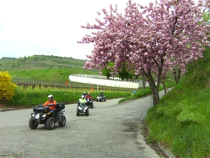 Geführte Panorama Quadtour Kaiserstuhl - Tuniberg