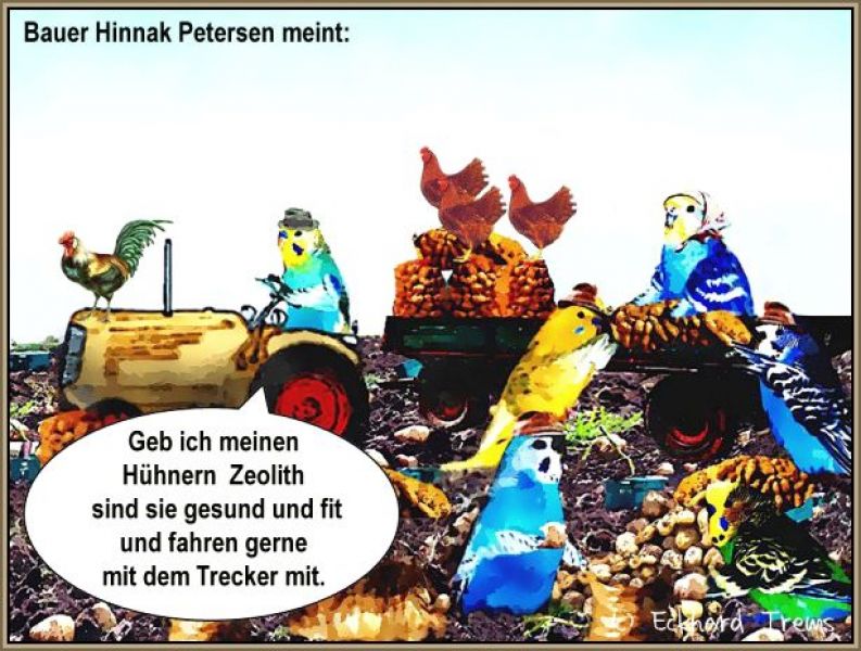 Zeolith Vulkanmineral und Tonerde als tägliche Beigabe zu Futter oder Wasser