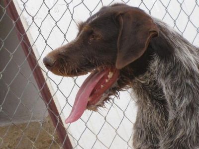 Piluco – Können diese Augen lügen?!