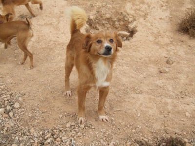 Tenko – Von Oma bis Säugling, hier kommt einfach Freude auf!