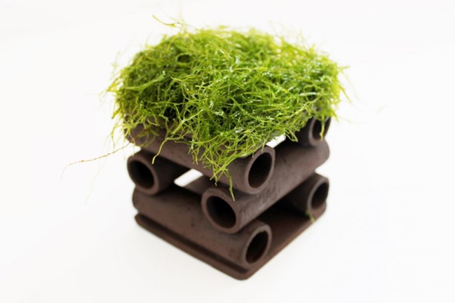 Garnelenhaus / Tonhöhle für Garnelen Krebse Schnecken im Aquarium